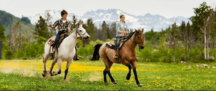 Confident plus-size woman riding Cannock a horse through a field with a smile on her face.